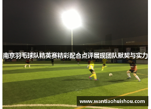 南京羽毛球队精英赛精彩配合点评展现团队默契与实力