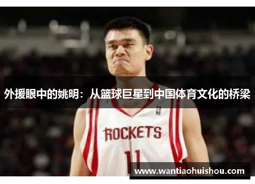外援眼中的姚明：从篮球巨星到中国体育文化的桥梁