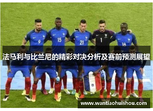 法马利与比兰尼的精彩对决分析及赛前预测展望